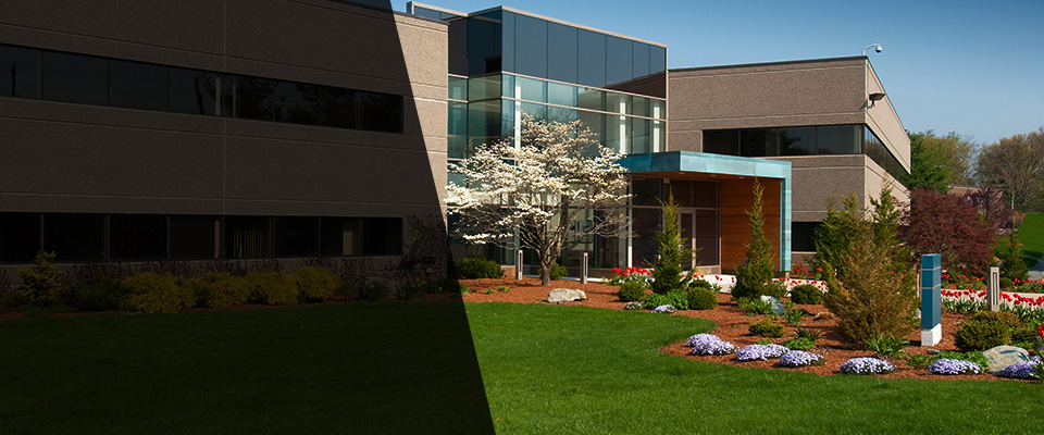 Edmonds Landscapers