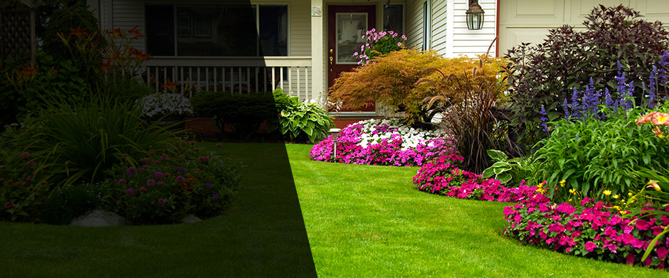 Edmonds Landscapers