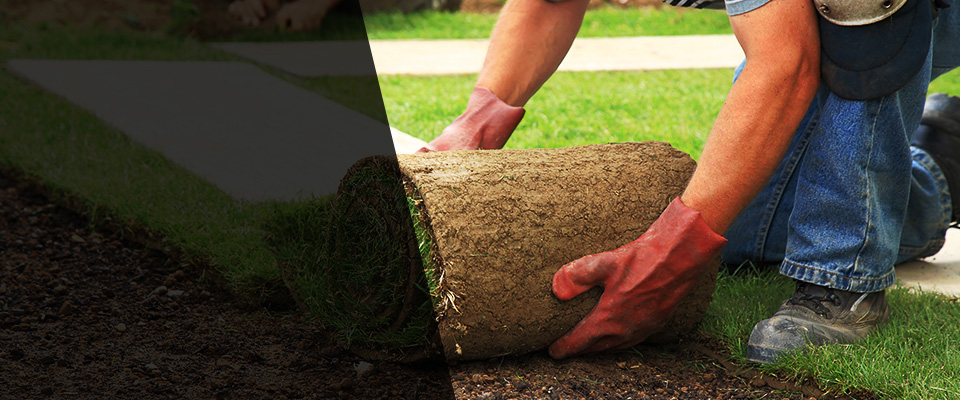 Edmonds Landscapers